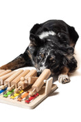 Charger l'image dans la visionneuse de la galerie, Jeu d'intelligence Piano pour chien