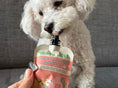 Charger l'image dans la visionneuse de la galerie, Meaty Licks – Poche de beurre de cacahuète pour chien (végan & sans gluten)