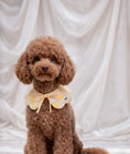 Charger l'image dans la visionneuse de la galerie, Foulard pour chien en coton – Bandana élégant & confortable