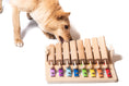 Charger l'image dans la visionneuse de la galerie, Jeu d'intelligence Piano pour chien