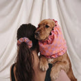 Charger l'image dans la visionneuse de la galerie, Snood pour chien – Protège oreilles & tour de cou (chiens aux longues oreilles)