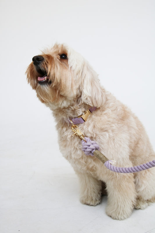 Collier FURLOU Violet