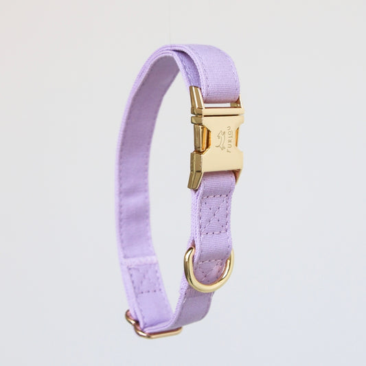 Collier FURLOU Violet