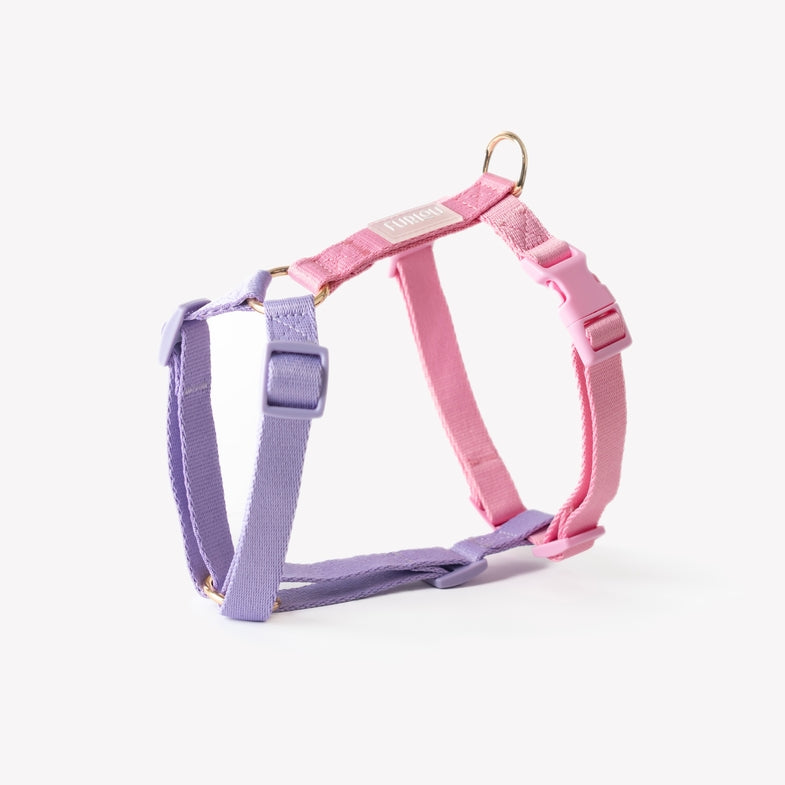 Harnais Strap en H Rose/Violet Furlou