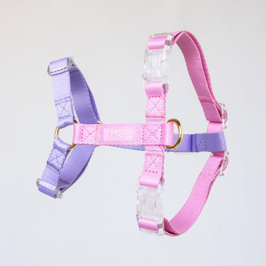 Harnais Strap en H Rose/Violet Furlou
