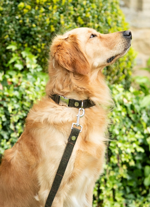Collier en tweed à carreaux vert H&H x Hackett