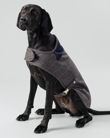 Cape H&H x Hackett