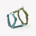 Charger l'image dans la visionneuse de la galerie, Harnais Strap en H Bleu/Vert Furlou
