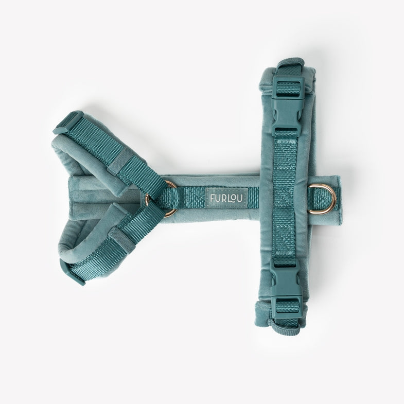 Harnais en H Velours Furlou Bleu