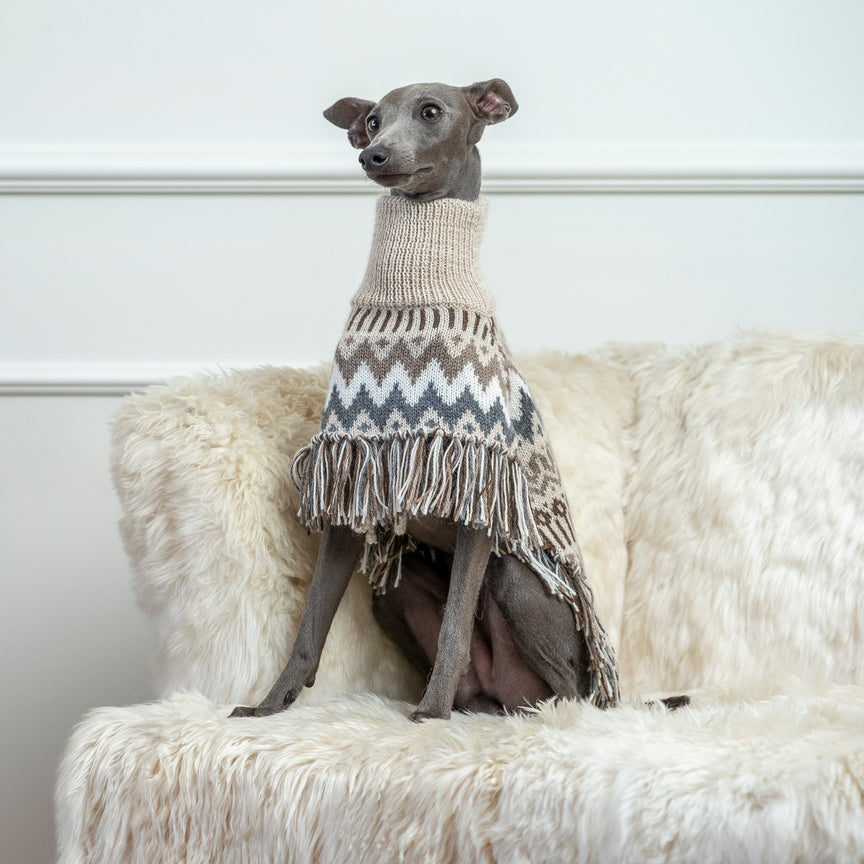 Poncho en Alpaga pour Chien