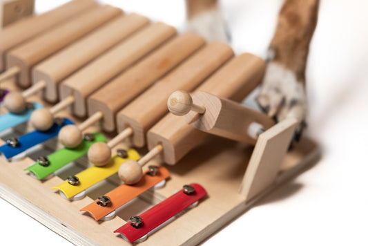 Jeu d'intelligence Piano pour chien