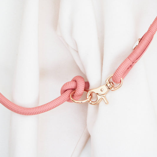 « Rose » - Laisse en corde tressée pour chien, mains libres