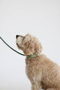 Charger l'image dans la visionneuse de la galerie, 'Sage Green' - Collier pour chien
