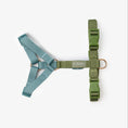 Charger l'image dans la visionneuse de la galerie, Harnais Strap en H Bleu/Vert Furlou
