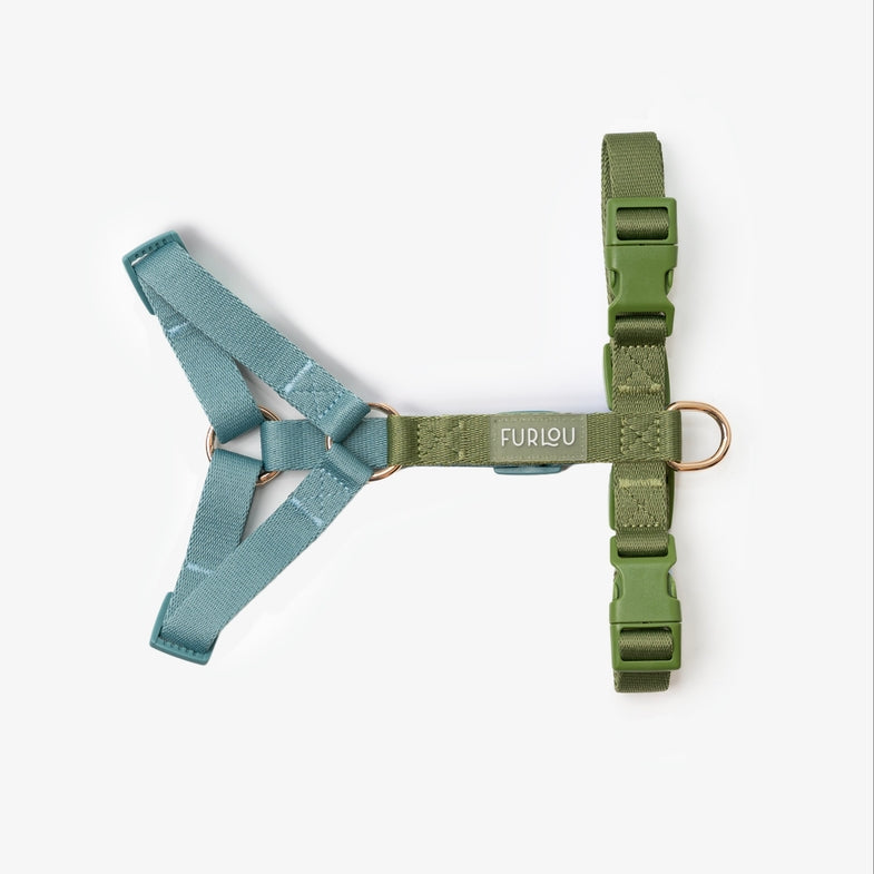 Harnais Strap en H Bleu/Vert Furlou