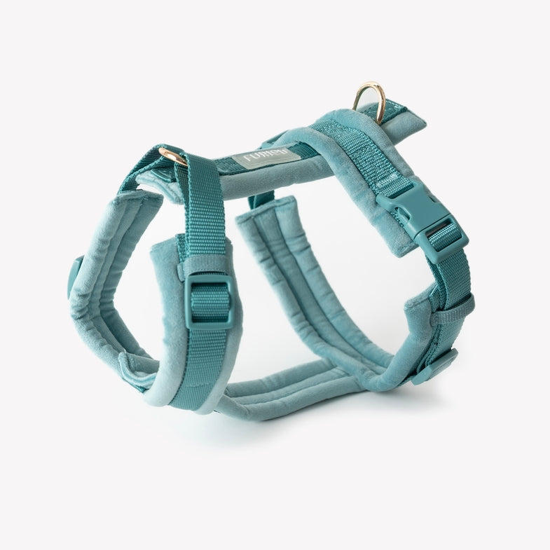 Harnais en H Velours Furlou Bleu