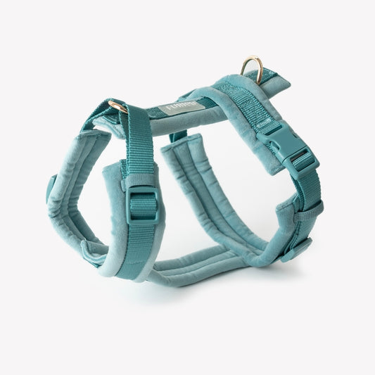 Harnais en H Velours Furlou Bleu