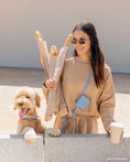 Charger l'image dans la visionneuse de la galerie, Laisse mains libres 4-en-1 pour chien – Convertible & imperméable
