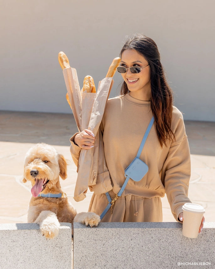 Laisse mains libres 4-en-1 pour chien – Convertible & imperméable