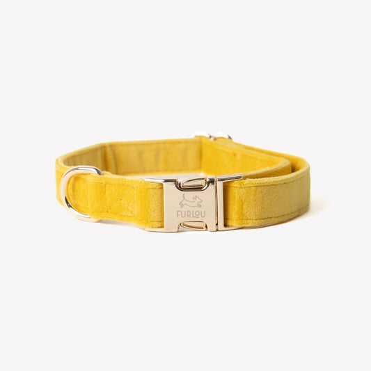 Collier Velours Furlou Jaune