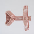 Charger l'image dans la visionneuse de la galerie, Harnais FURLOU confort Rose
