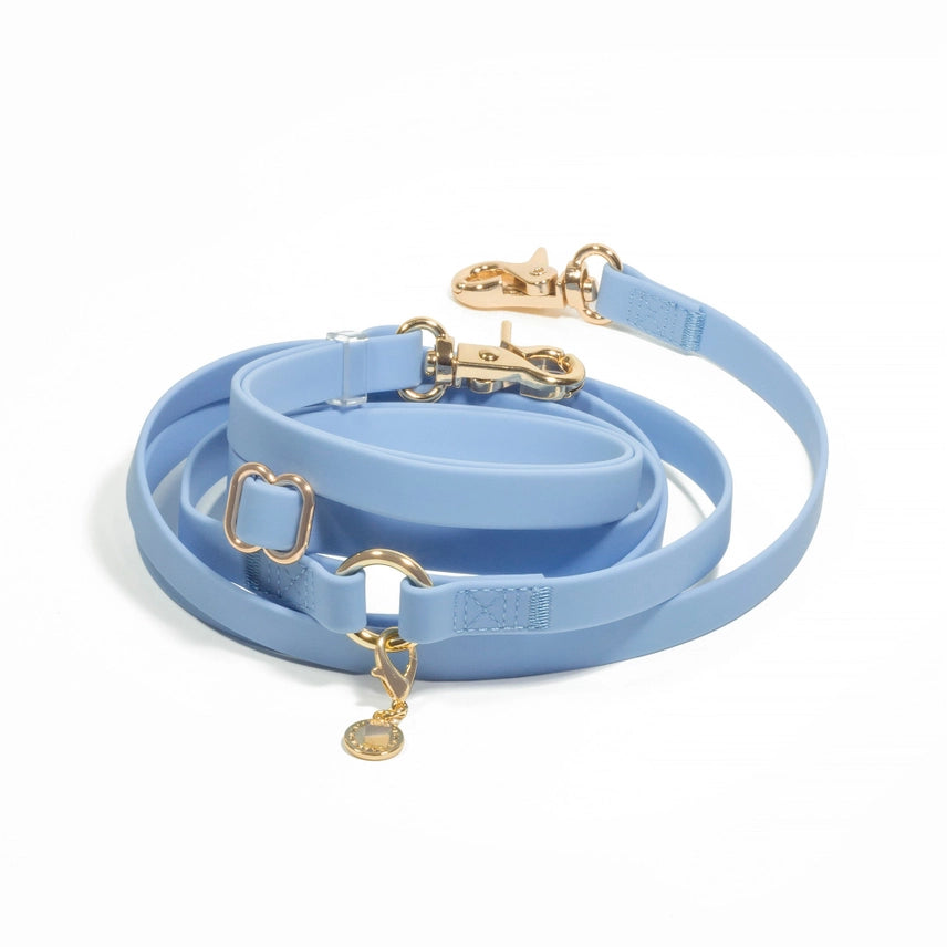 Laisse mains libres 4-en-1 pour chien – Convertible & imperméable