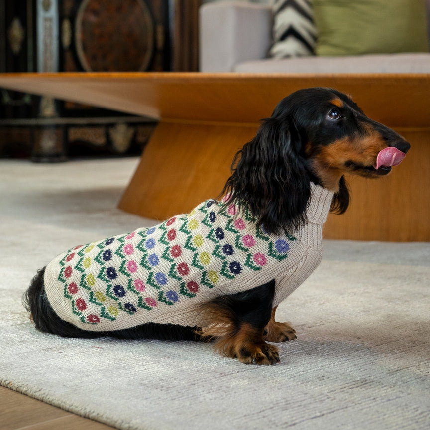 Pull pour chien Flower en Alpaga