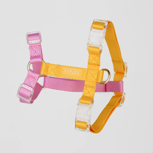 Jaune et rose - Harnais pour chien