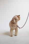 Charger l'image dans la visionneuse de la galerie, Collier FURLOU Violet
