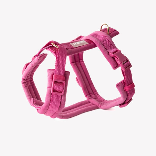 Harnais en H Velours Furlou Magenta