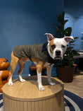 Charger l'image dans la visionneuse de la galerie, Cape H&H x Hackett
