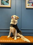 Charger l'image dans la visionneuse de la galerie, Cape H&H x Hackett
