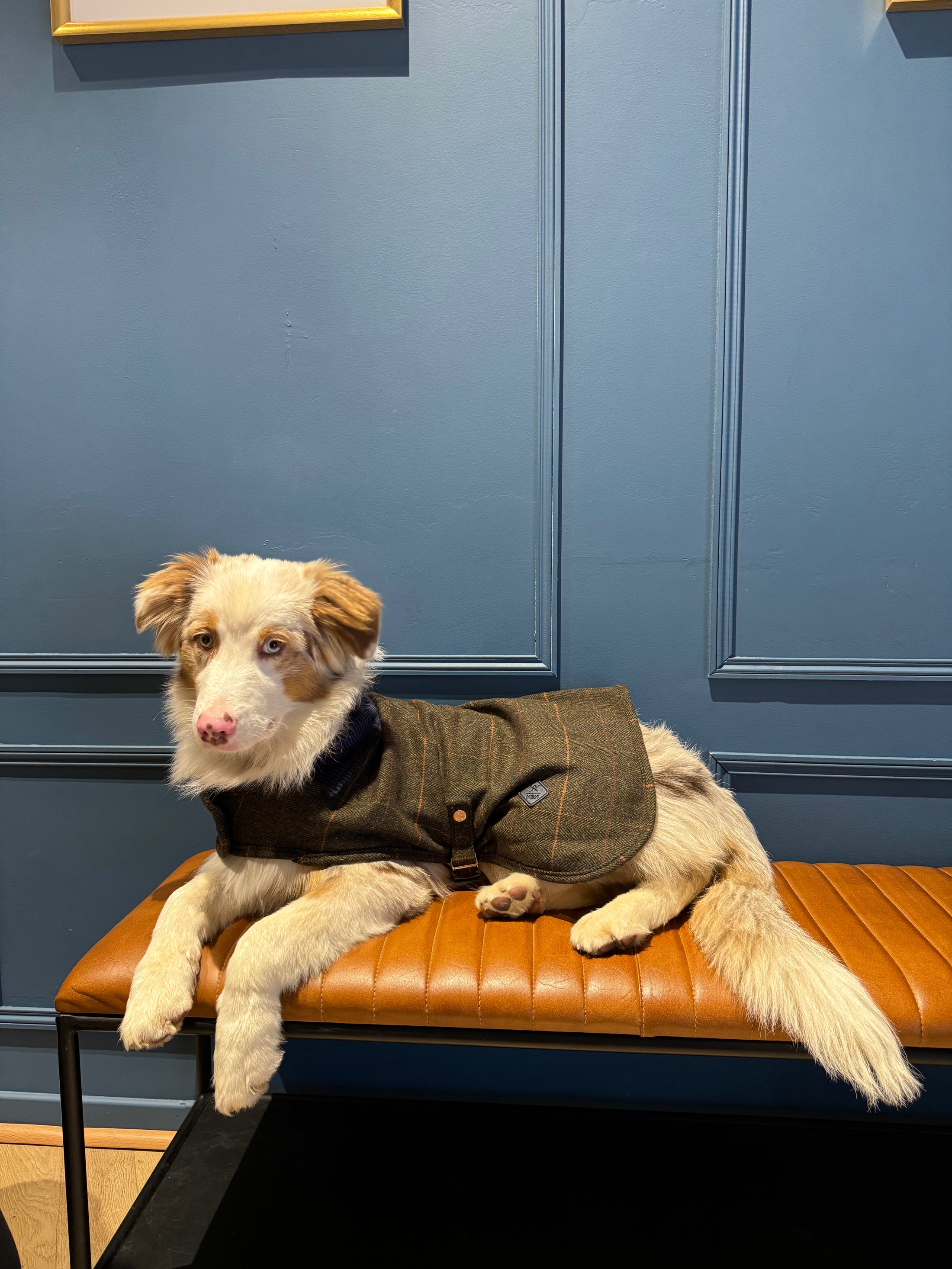 Cape H&H x Hackett