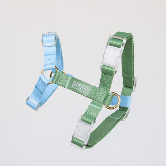 Harnais Strap en H Bleu/Vert Furlou