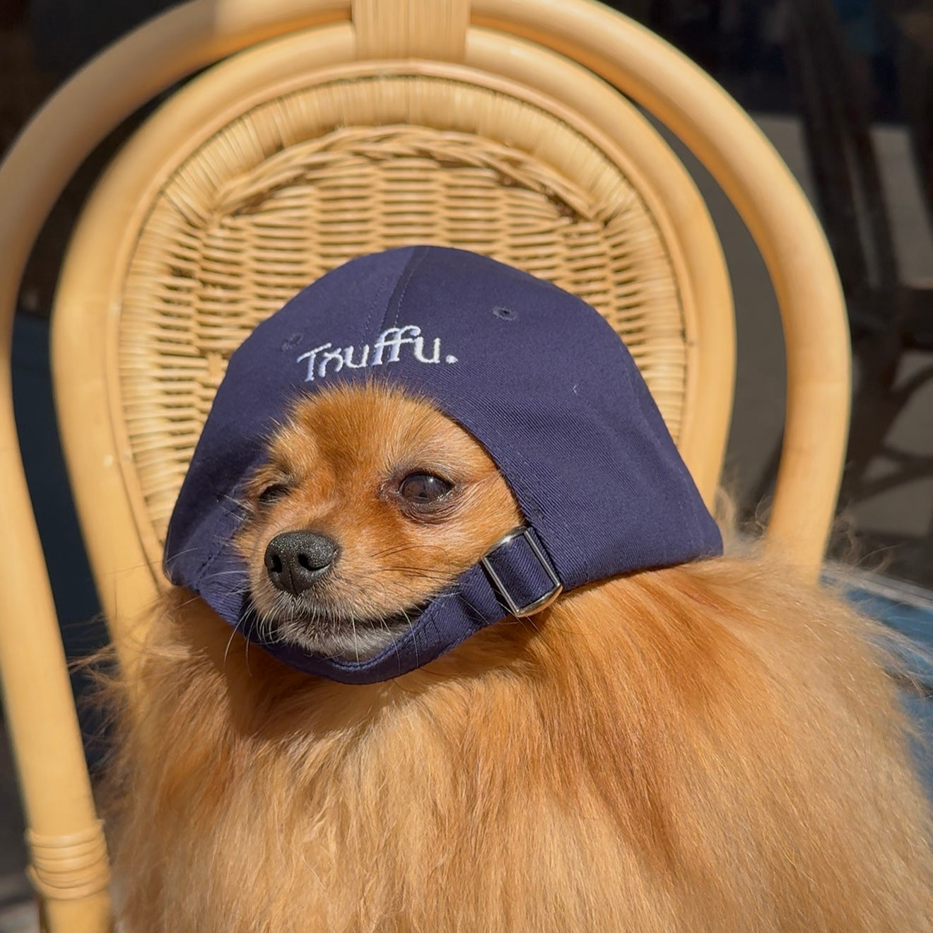 Casquette TOUFFU