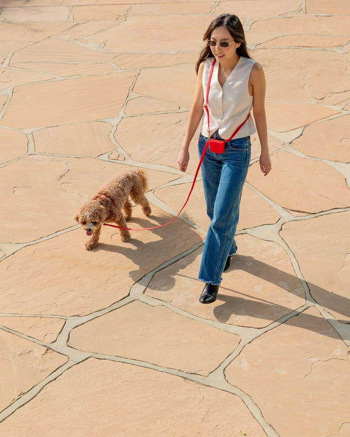 Laisse mains libres 4-en-1 pour chien – Convertible & imperméable
