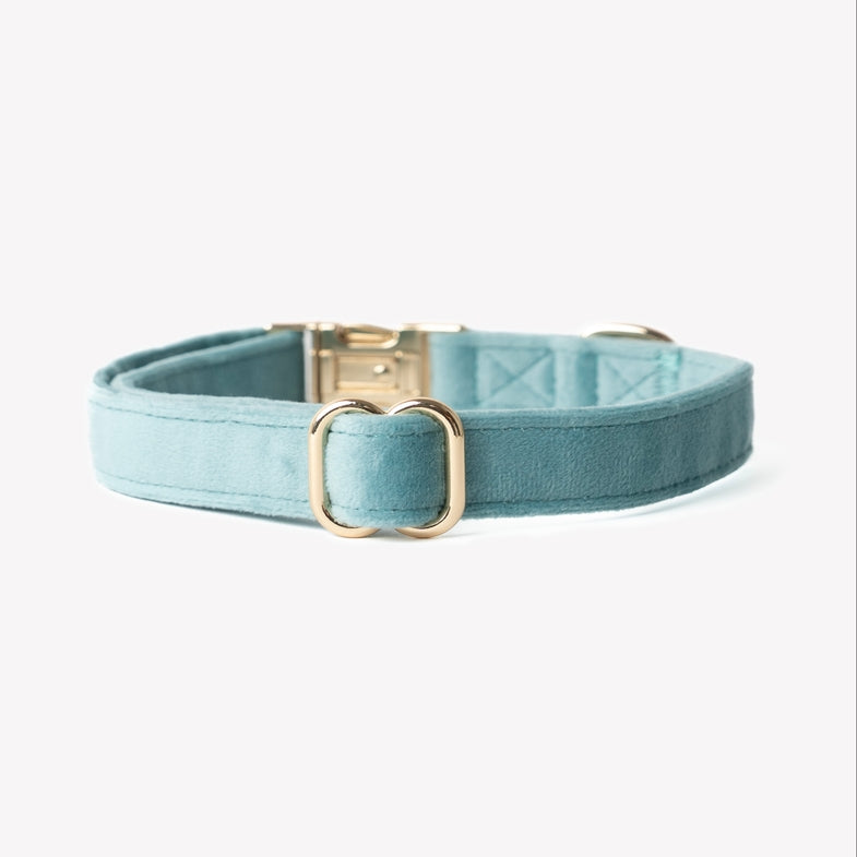 Collier Velours Furlou Bleu