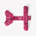 Charger l'image dans la visionneuse de la galerie, Harnais en H Velours Furlou Magenta
