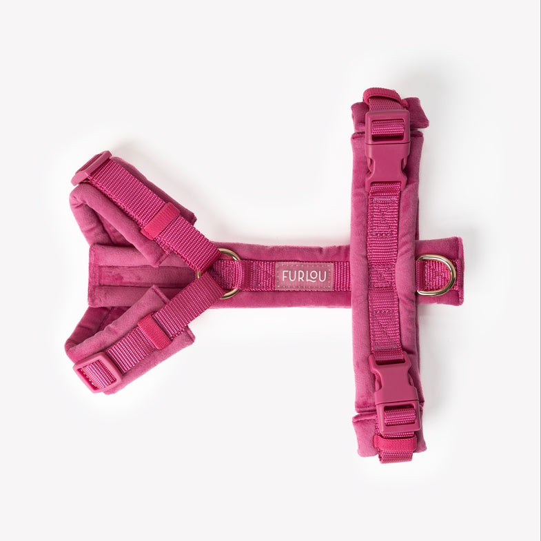 Harnais en H Velours Furlou Magenta