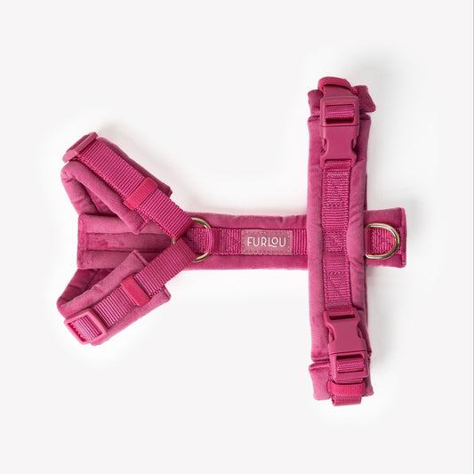 Harnais en H Velours Furlou Magenta