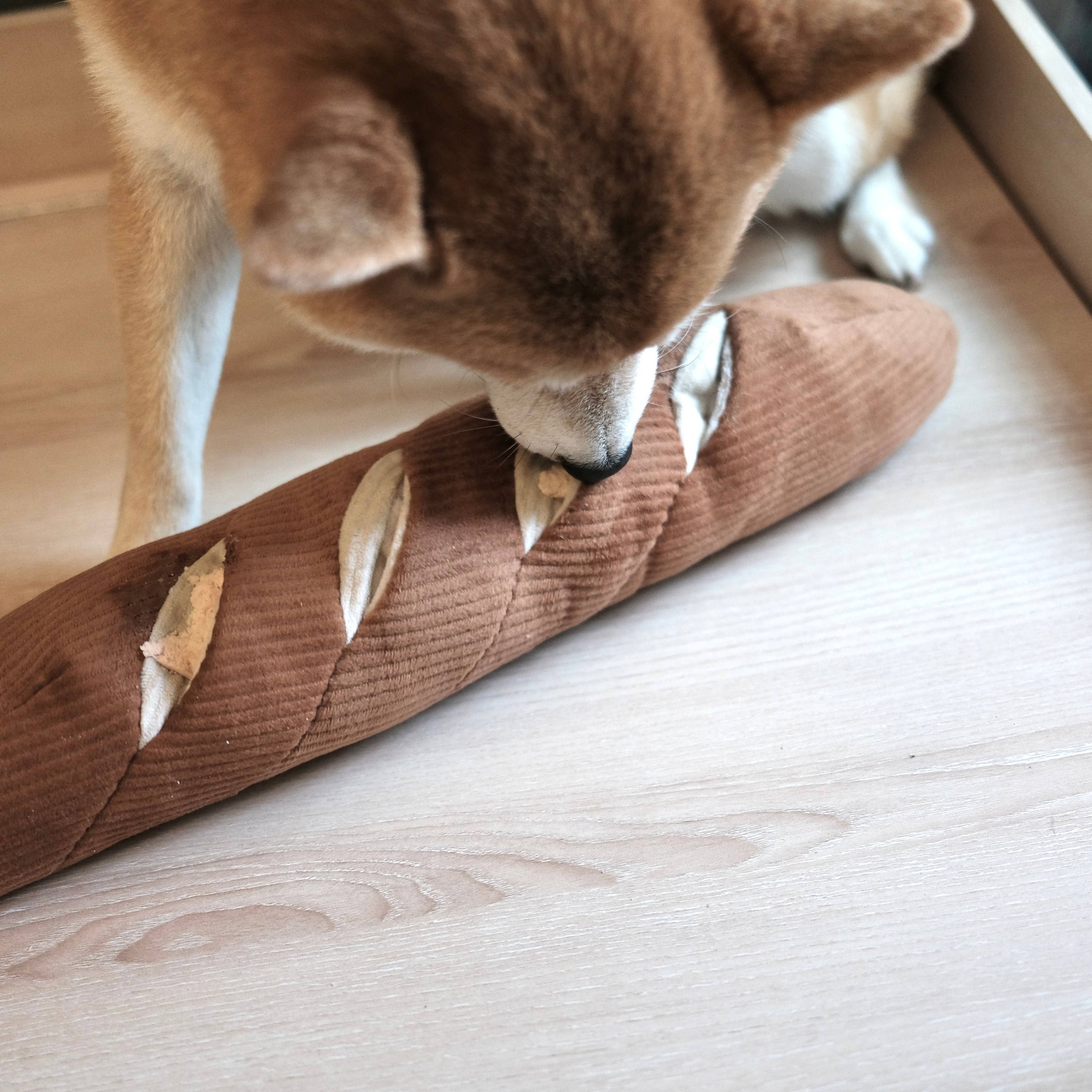 Jouet de fouille BAGUETTE