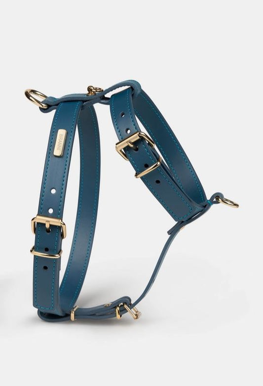 Harnais Nara Branni Bleu