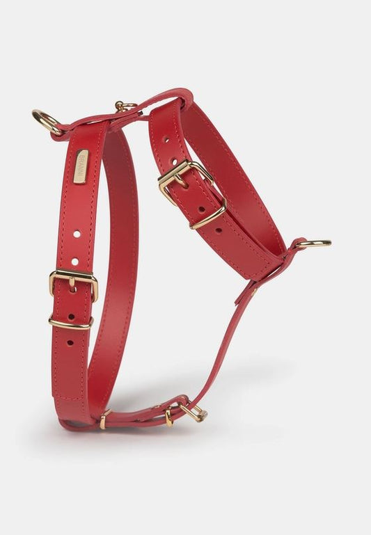 Harnais Nara Branni Rouge