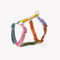 Charger l'image dans la visionneuse de la galerie, Harnais strap en H Multicolor "Rainbow" Furlou
