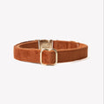 Charger l'image dans la visionneuse de la galerie, Collier Velours Furlou Argile
