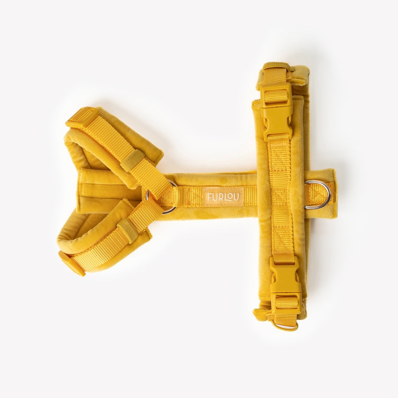 Harnais en H Velours Furlou Jaune