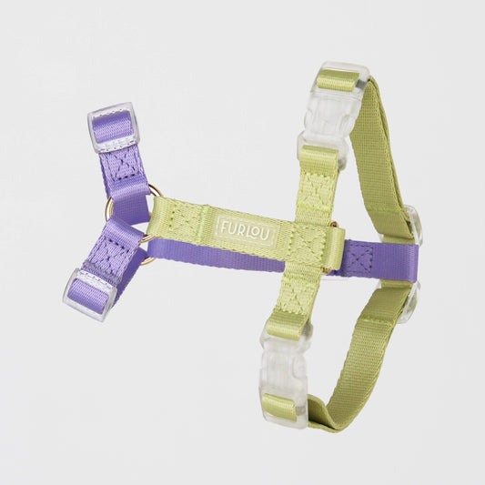 Harnais Strap en H Vert/Violet Furlou