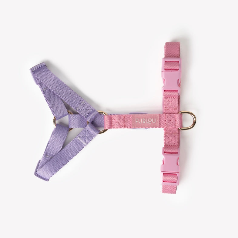 Harnais Strap en H Rose/Violet Furlou