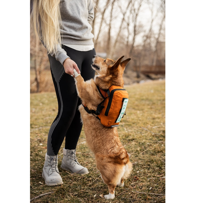 Sac à dos de transport WalkOn K9 Sport Sack