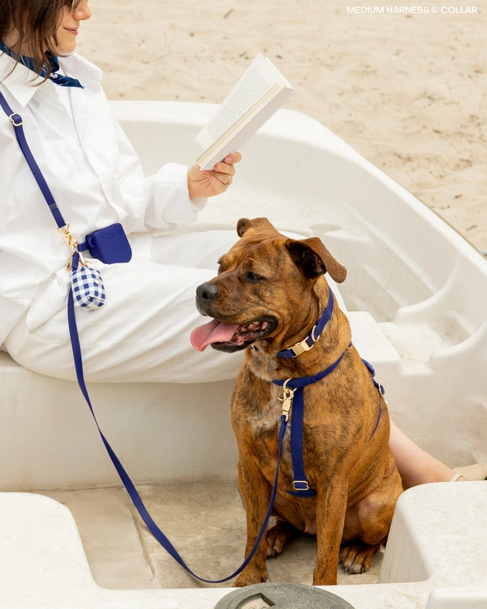 Laisse mains libres 4-en-1 pour chien – Convertible & imperméable